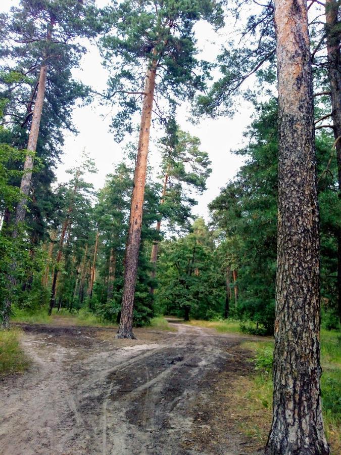 Guest House Kiev Forest Exterior photo